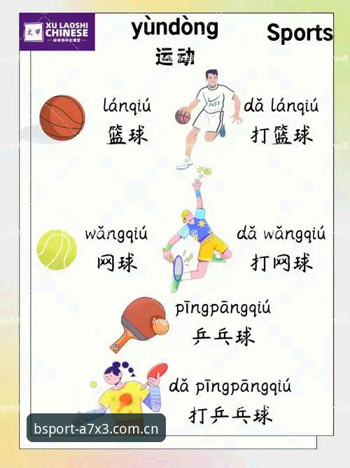 BSport体育平台深度分析：从官网登录到实战体验的全面解读